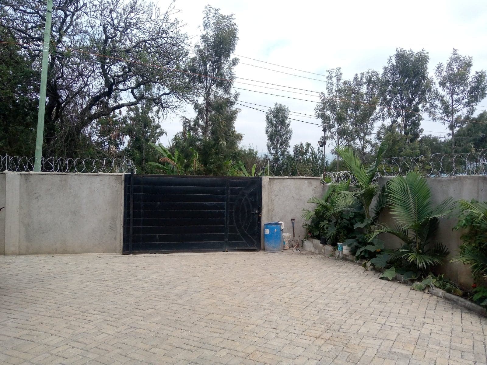 Property - Image 8