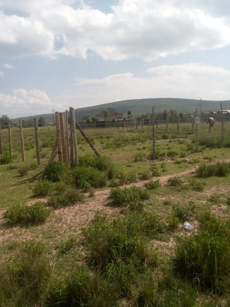 Property - Image 10
