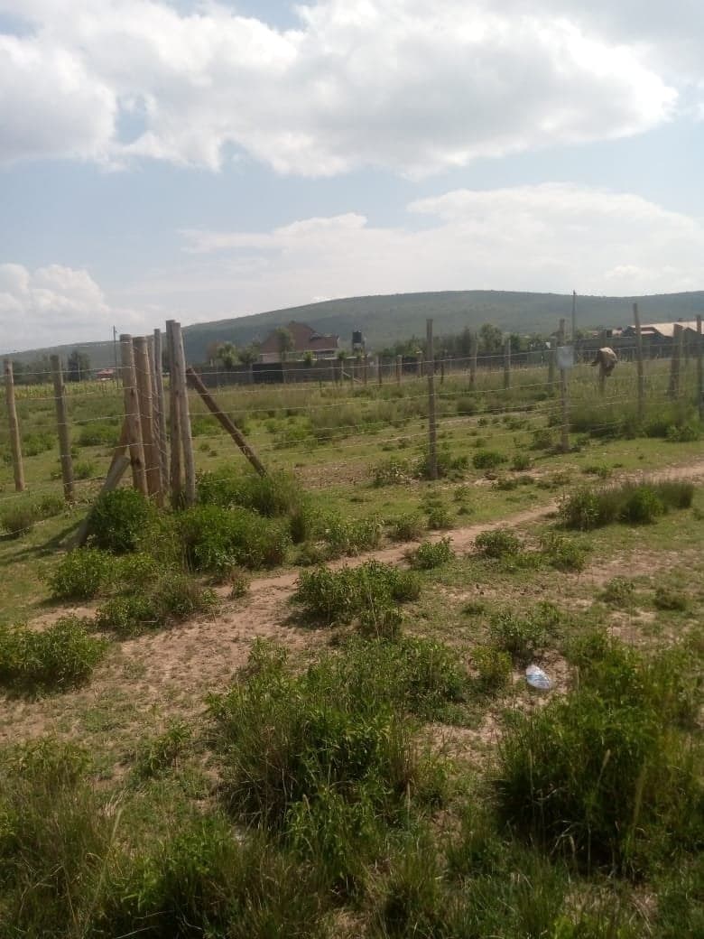 Property - Image 12