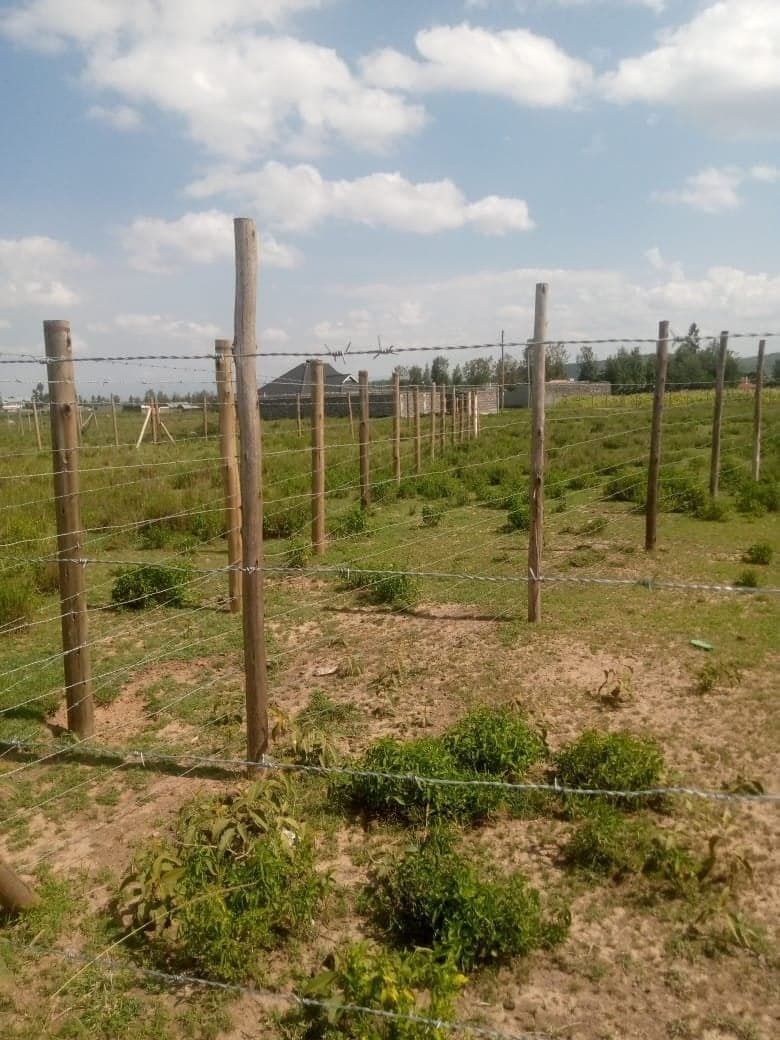 Property - Image 7