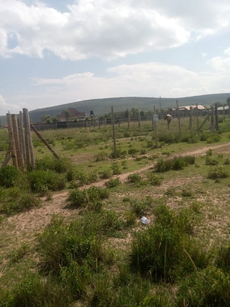 Property - Image 5