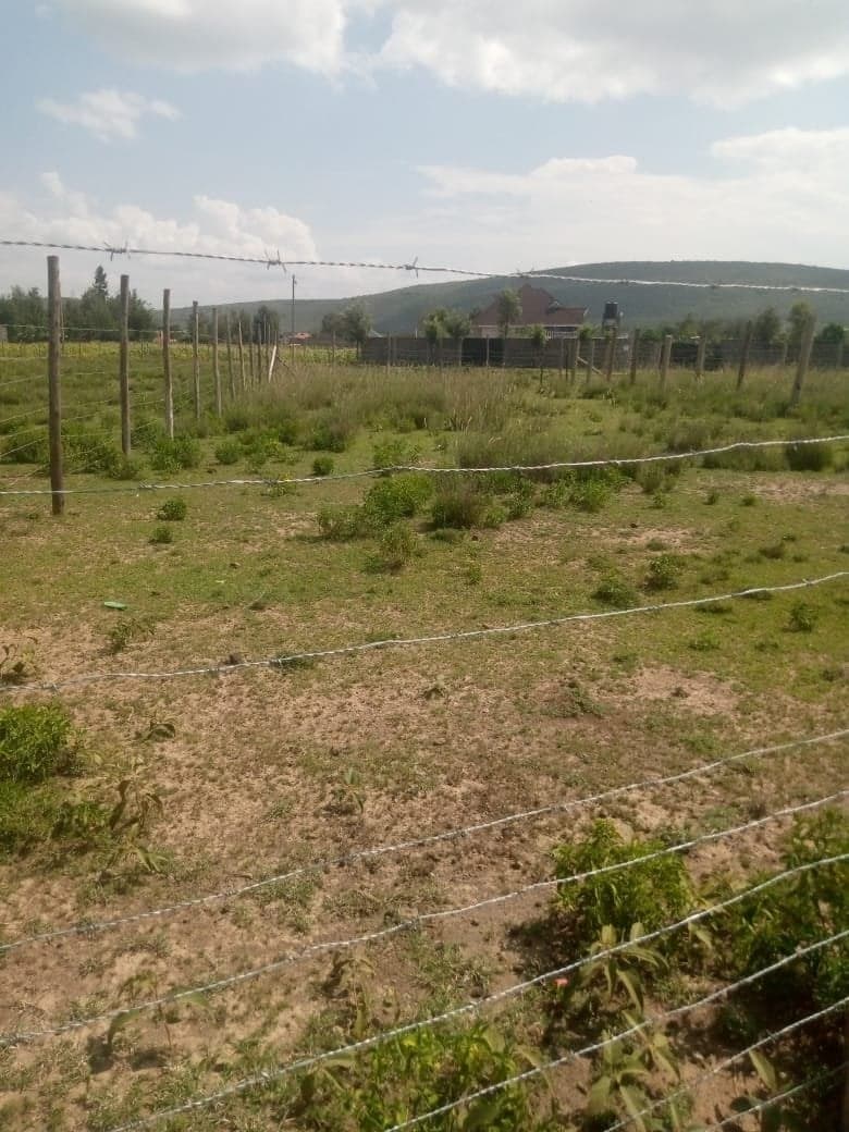 Property - Image 4