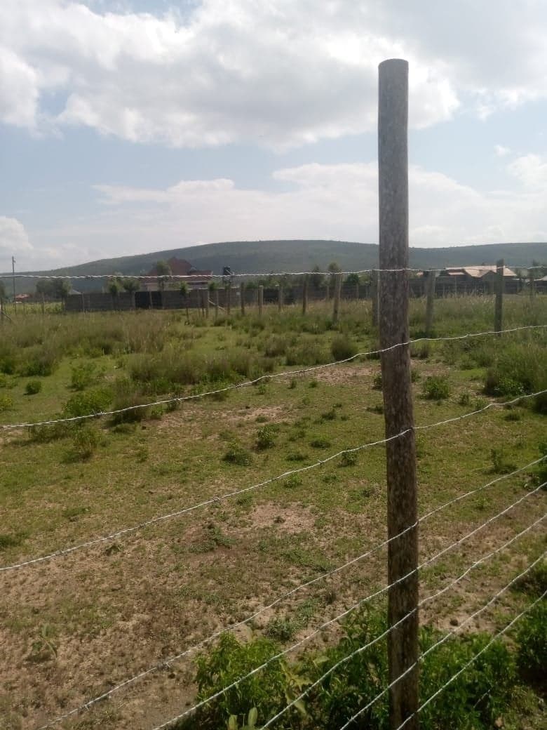 Property - Image 3