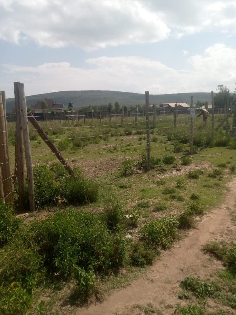 Property - Image 8