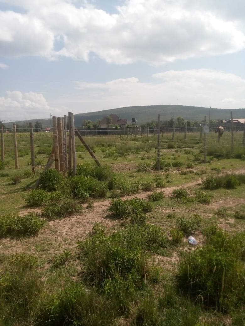 Property - Image 6
