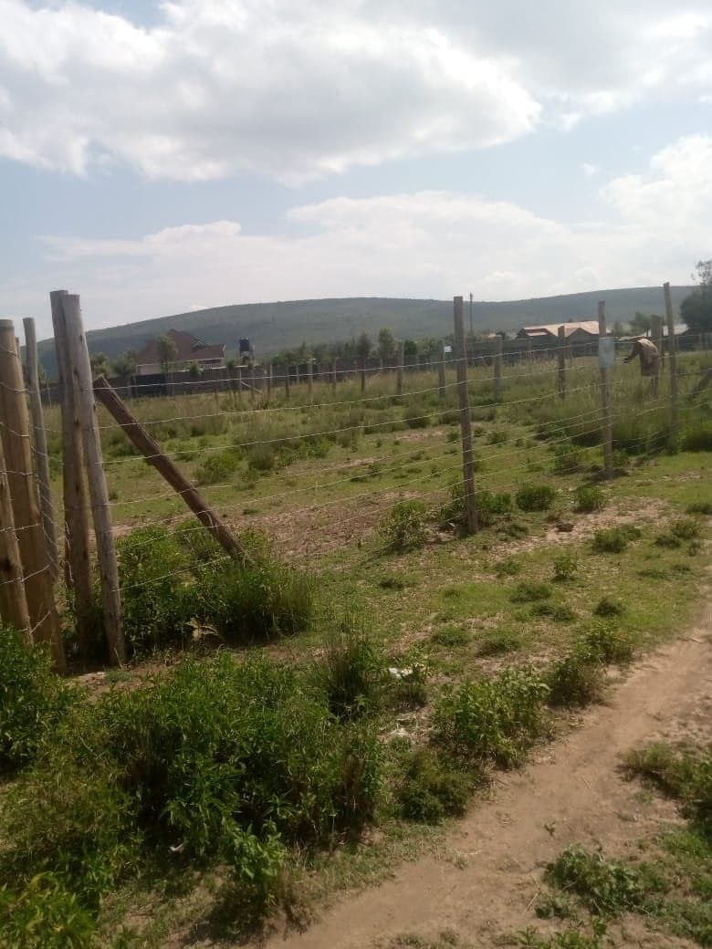 Property - Image 2
