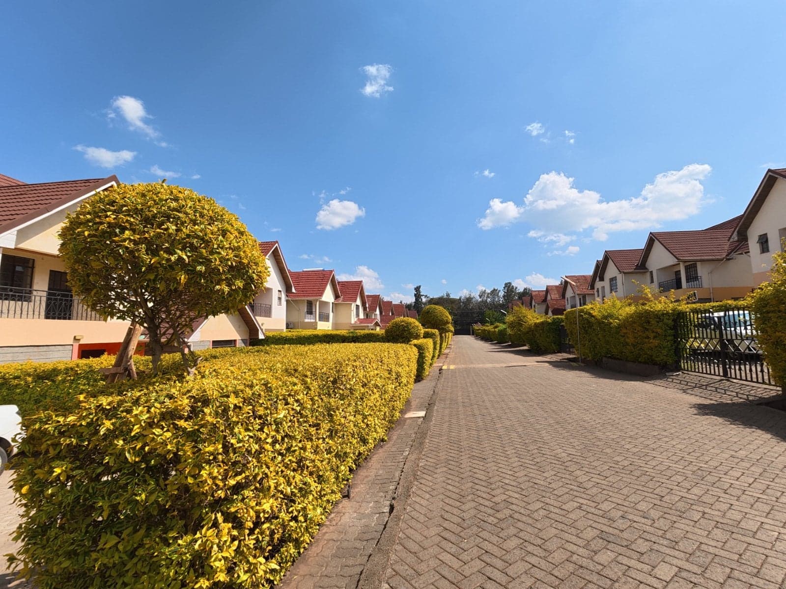 Property - Image 2