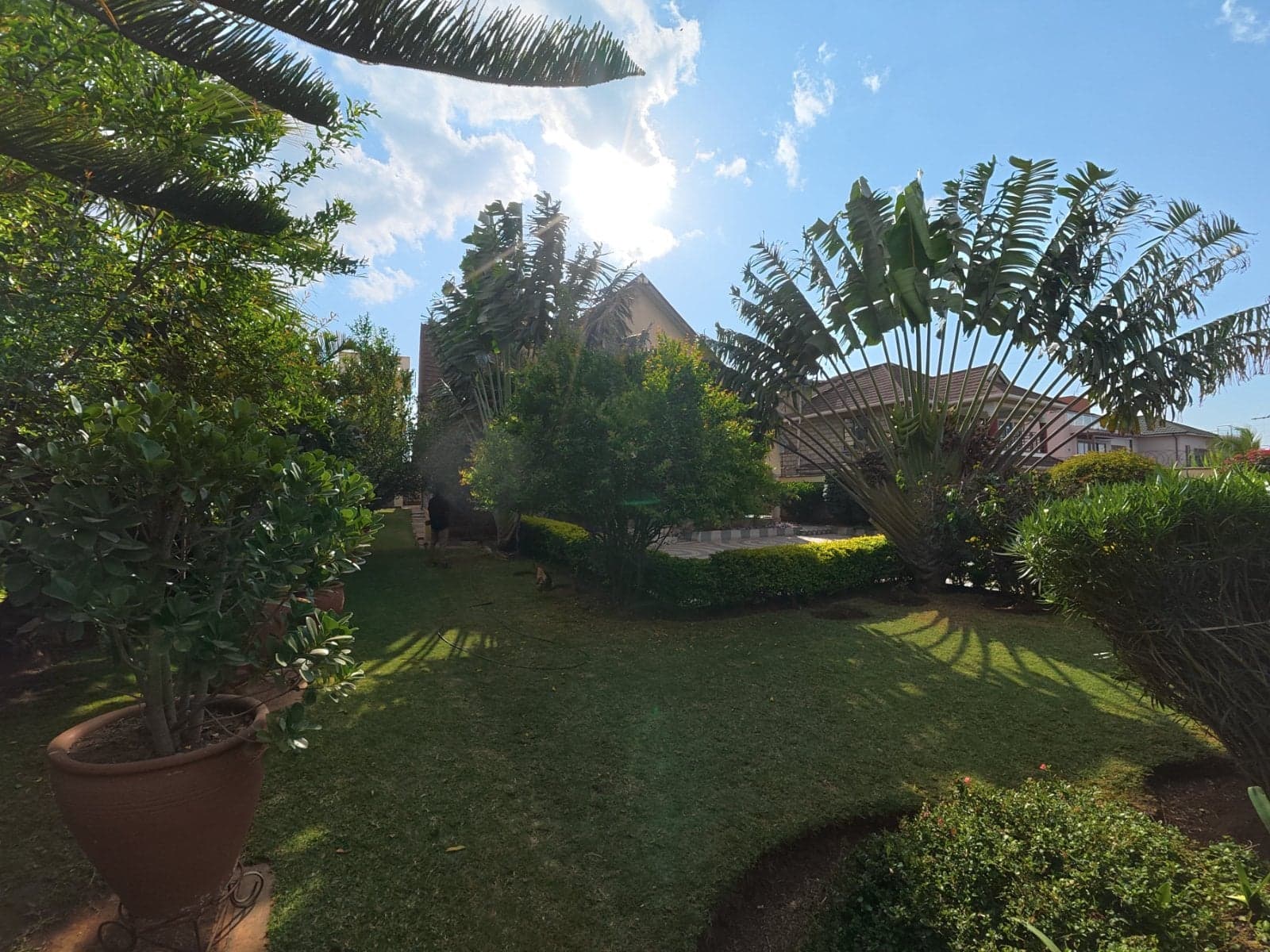 Property - Image 4